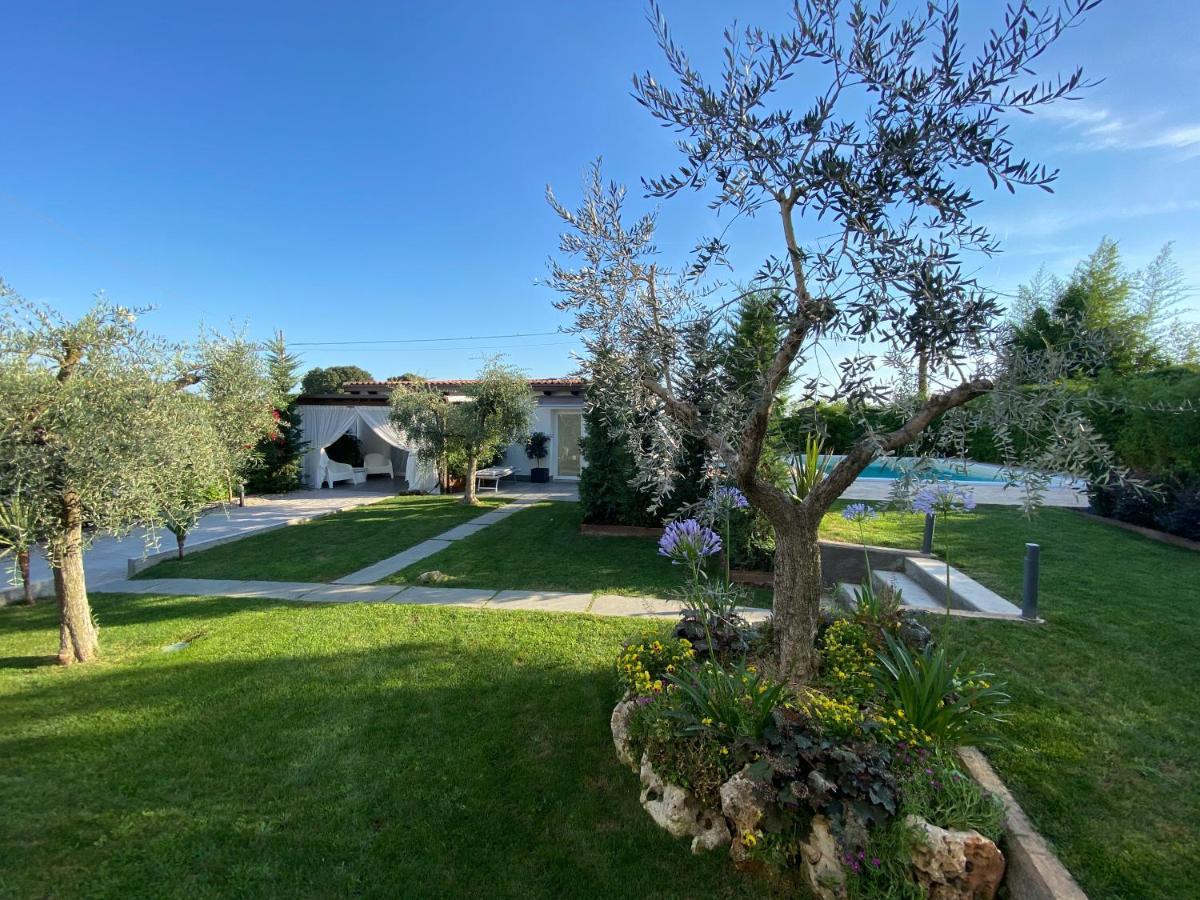 Bed and Breakfast Mincio Relais Castelnuovo del Garda Exteriér fotografie